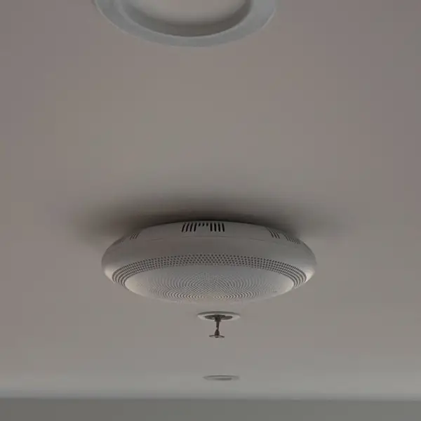 SDA - Smart Assistive Technology - High Physical Support - Image 3